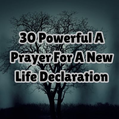 30 Powerful A Prayer For A New Life Declaration