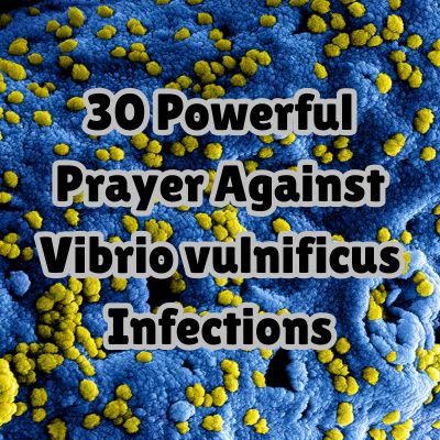 30 Powerful Prayer Against Vibrio vulnificus Infections